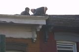 marshall-036