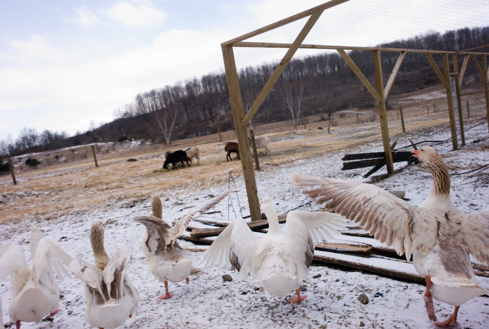 nil