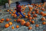 lesgc_pumpkin-43