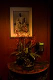 fineman-1002351