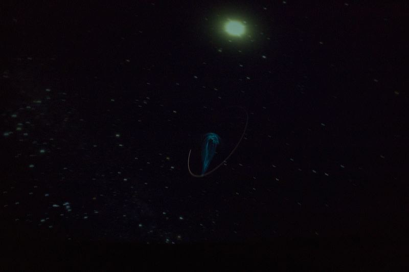 l1001724.jpg