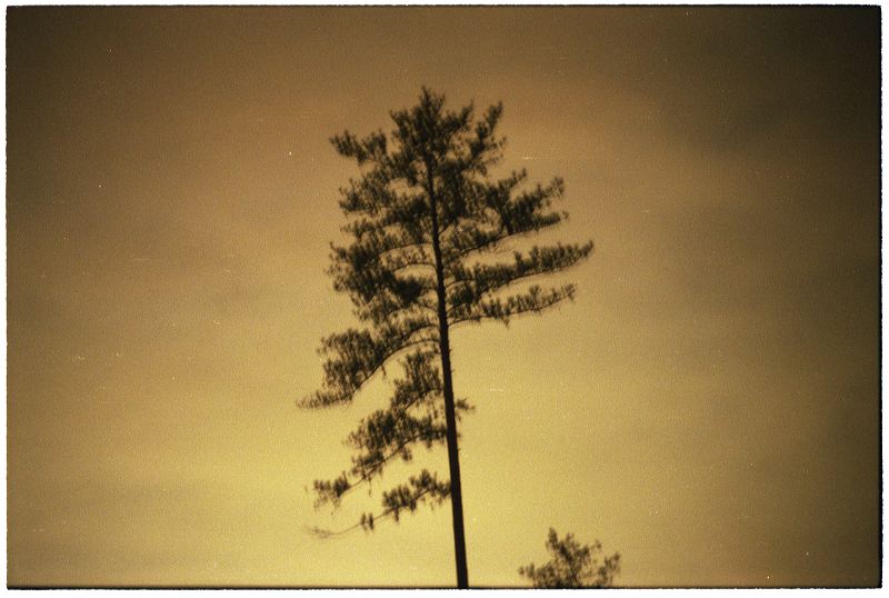 188-04a.jpg