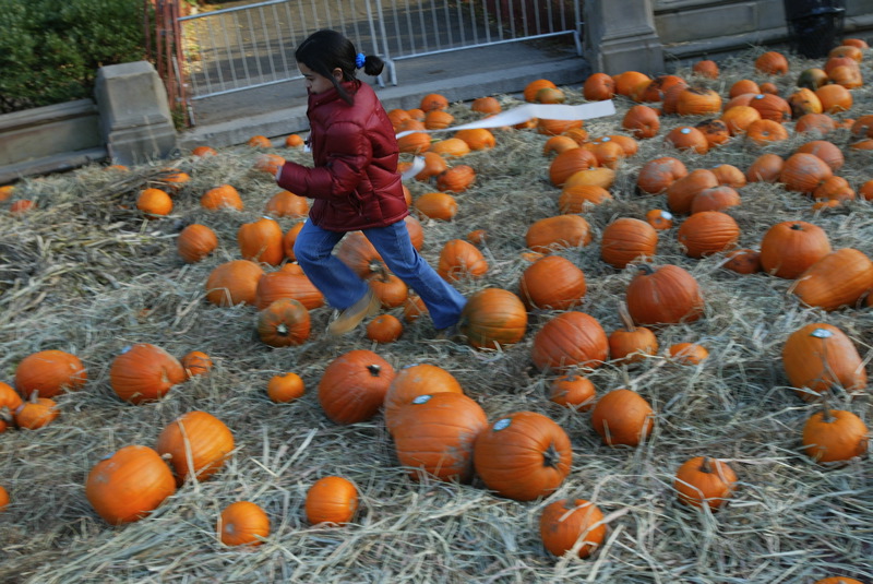 lesgc_pumpkin-43.jpg