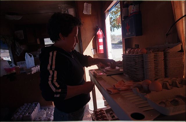 tello2004_05_7.jpg