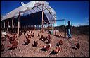 tello2004_01_26