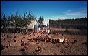 tello2004_02_3a