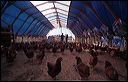 tello2004_03_15