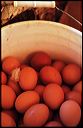 tello2004_05_11