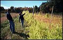 tello2004_06_27a