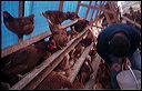 tello2004_07_16