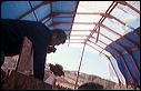 tello2004_07_7