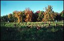 tello2004_08_0a