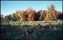 tello2004_08_2a