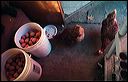 tello2004_09_17