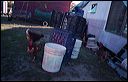 tello2004_09_21