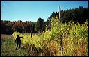 tello2004_11_12