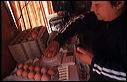 tello2004_11_8