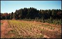 tello2004_11_9