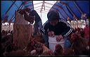 tello2004_12_13a